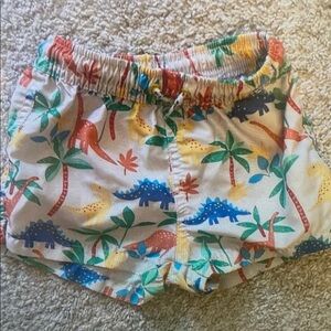 Colorful Dinosaur Print Kids Swim Trunks